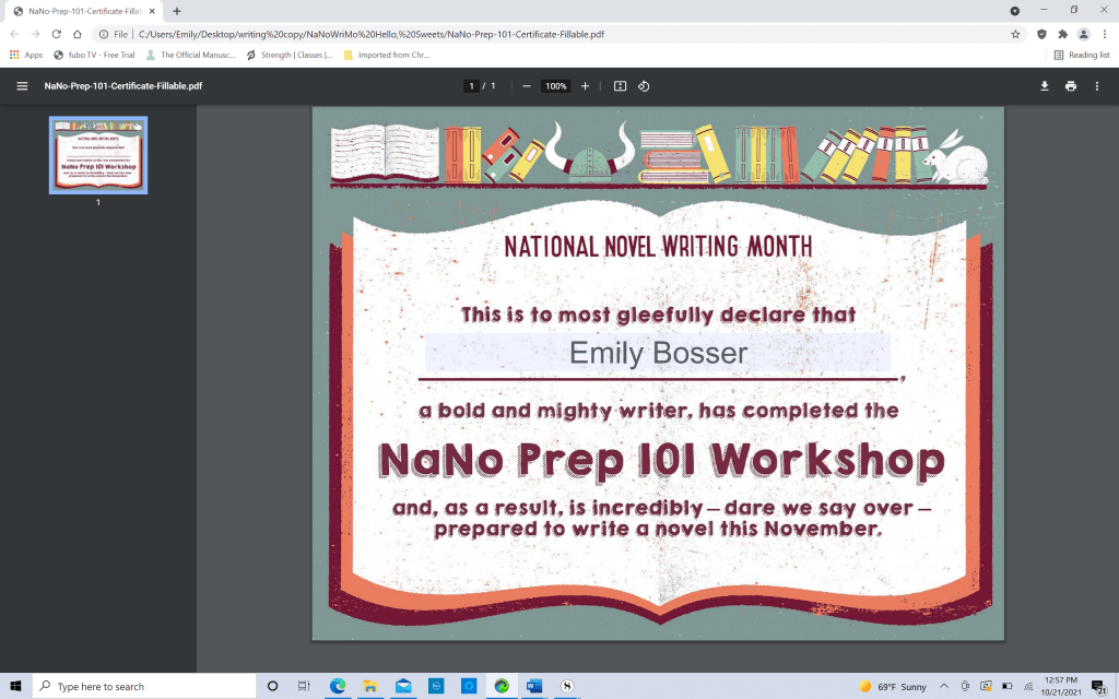 NaNoWriMo